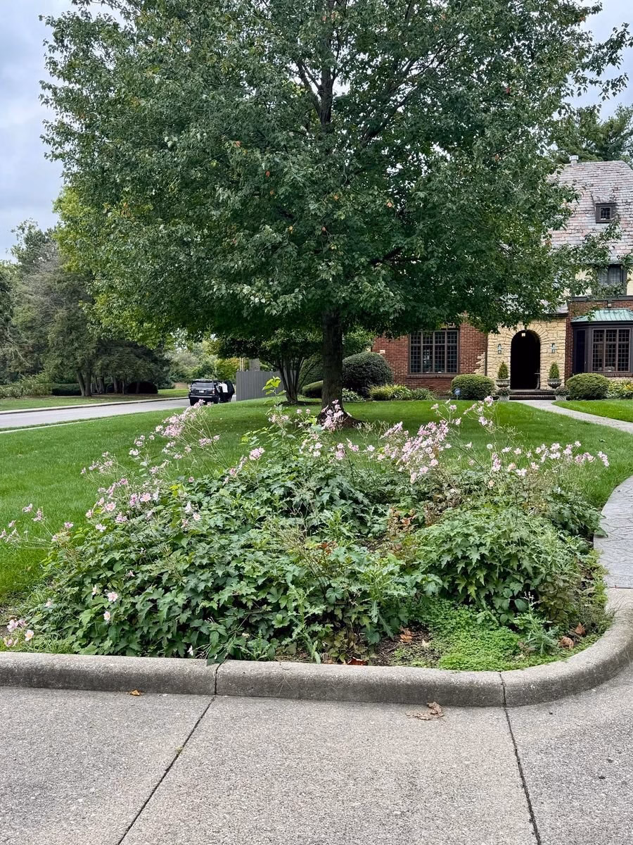 Flowering shrub bed along a front walkway