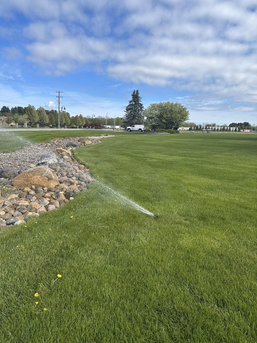 Thick green lawn being watered after overseeding