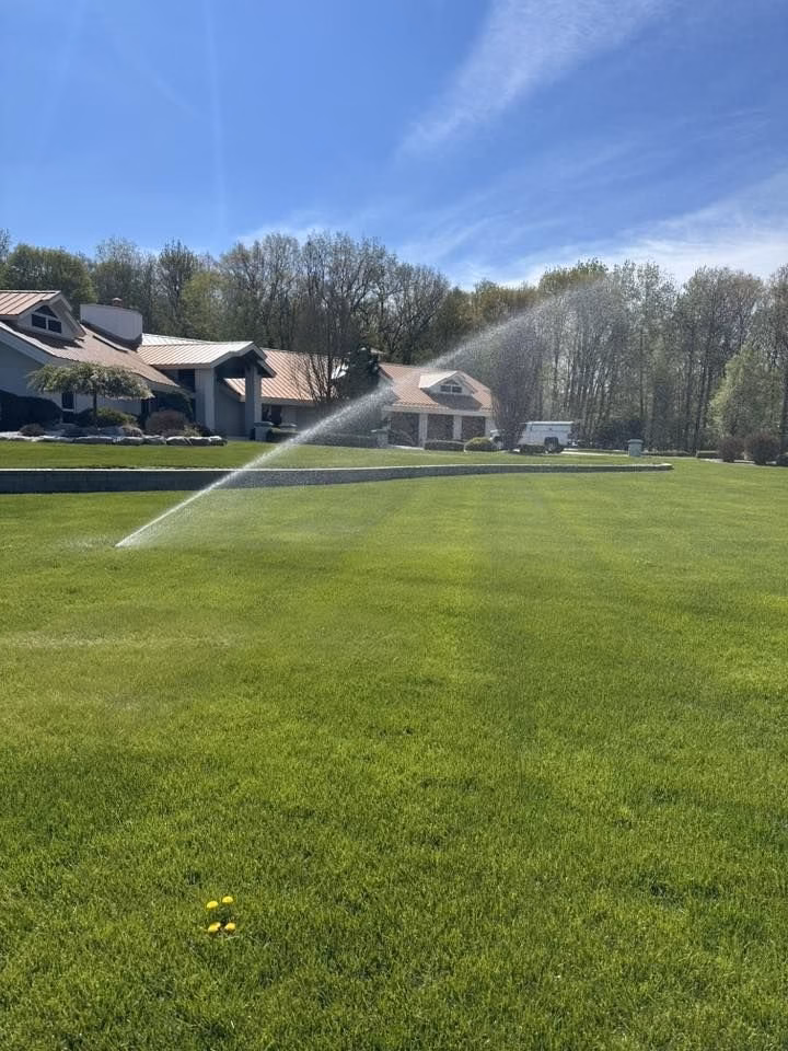 Well-kept lawn with sprinklers on a sunny day