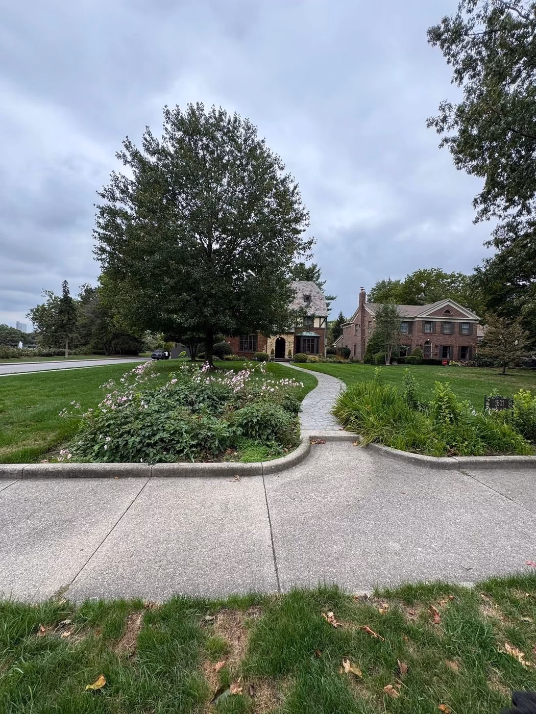 Walkway through a landscaped front yard