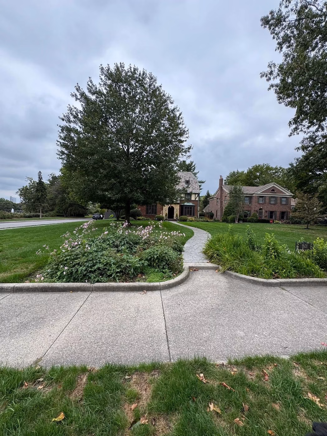 Walkway through a landscaped front yard